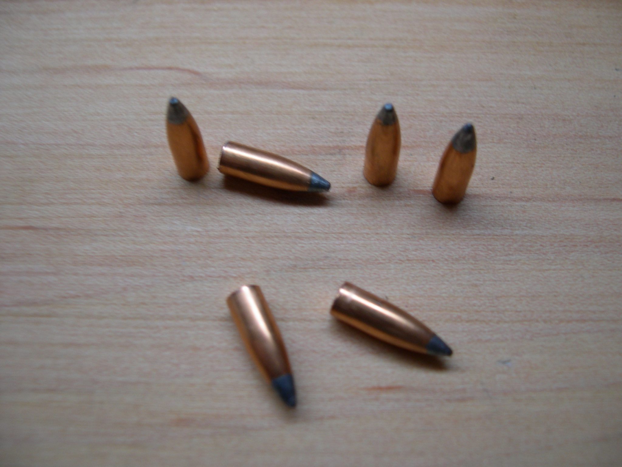.17 Cal Bullets 25g Soft Point FB 7s Reed’s Ammunition & Research