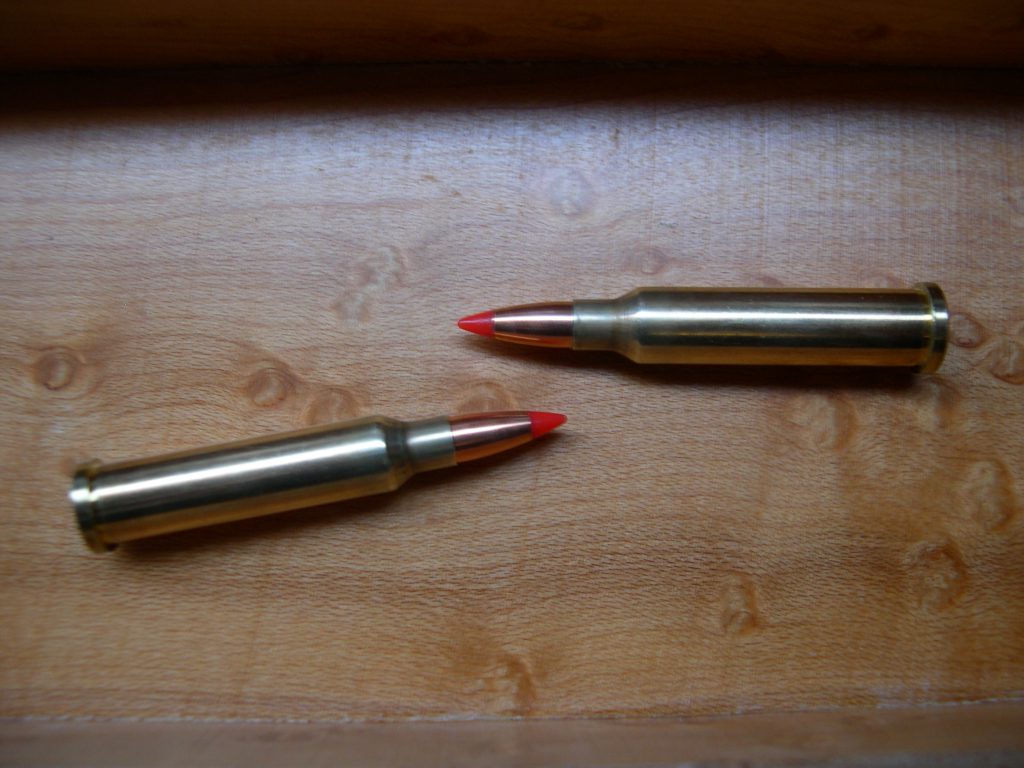 .17 Ackly 20g VMax Reed’s Ammunition & Research