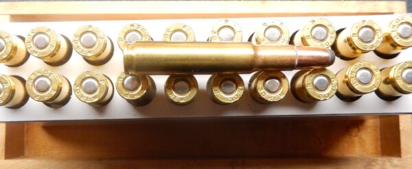 .30 Remington 170g Soft Point
