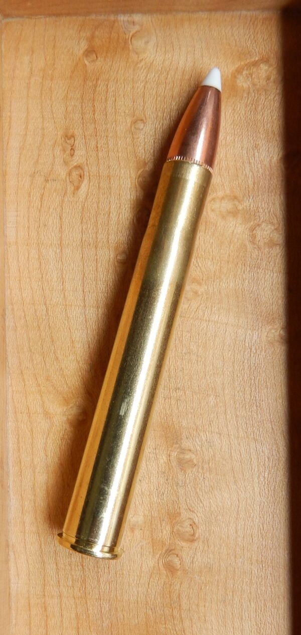 9.3x74R 270g Round Nose Soft Point