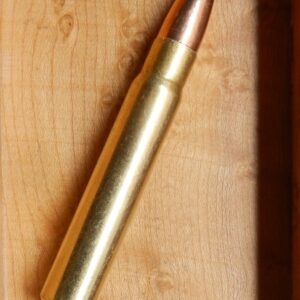 9.3x62 270g Soft Point
