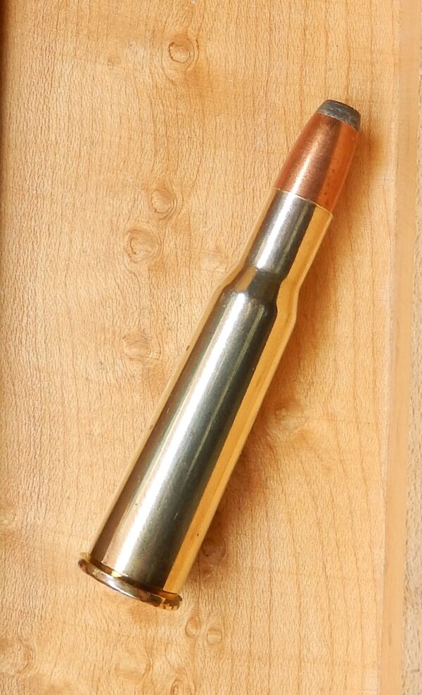 .348 Winchester 200g Hawk Soft Point