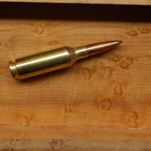 .22 ARC 90g Sierra BTHP