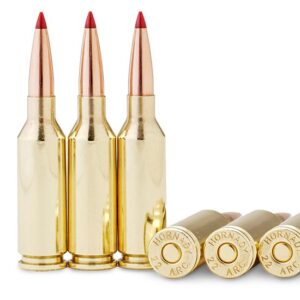 .22 ARC