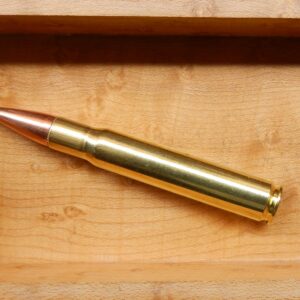 .338/06 225g Hornady SST