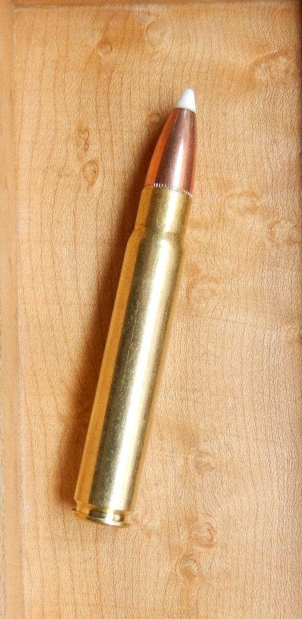 9.3x62 250g Nosler AccuBond